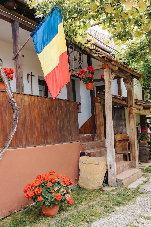 Casa Traditionala Transilvaneana Rucar  Exterior photo